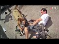 6 Horrible Cases Where K9 Sacrifices Himself In Detention