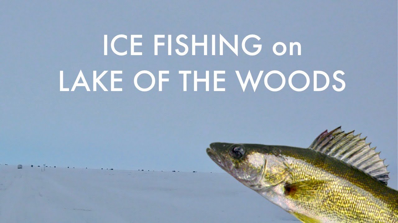 Ice Fishing on Lake of the Woods for Walleye (Zippel Bay pt. 1) YouTube