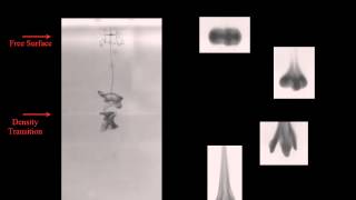 The trapping and escape of buoyant vortex rings in sharply stratified fluids