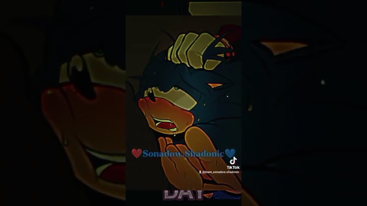 ❤️Sonadow.Shadonic💙 #sonadowforever #sonadow #shadowsonic #shadow#sonic #shadonic❤️💙🖤