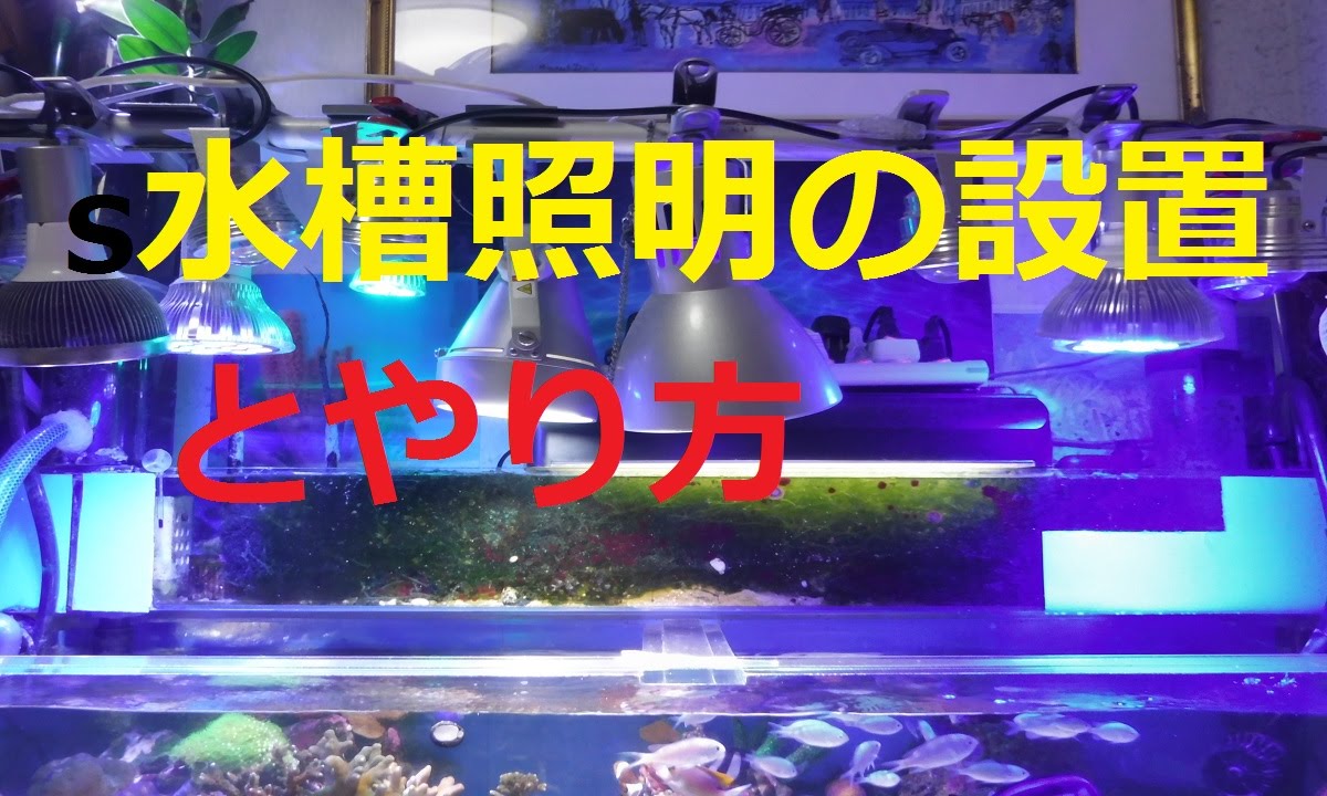 海水魚水槽 サンゴ水槽の照明の工夫をご紹介 Youtube