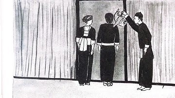 lwm qaib nyab tshiab