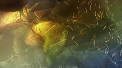 UNIVERSUM DOKU 2019 HD über Weltraum Galaxie und Milchstrassen