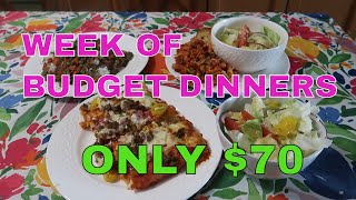 A Week Of Delicious Budget Friendly Family Dinners For ONLY 70