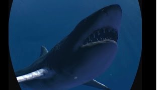Realtime Procedural Shark Animation, v0.2