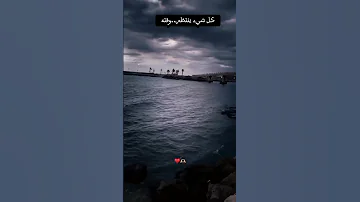 بسلم عليك مصطفى قمر Viral حالات حب Lol حب مصطفى قمر موسيقى احساس لحن 2023 Vidiq كل شيء ينتظر وقته 