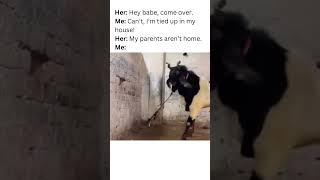 Funny Random Memes 😂 523 #Shorts #Memes V701