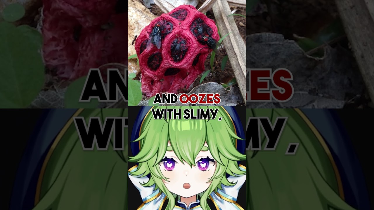 WHAT IS THIS STRANGE RED ALIEN FUNGUS?!