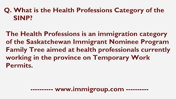 What is the Health Professions Category of the SINP?