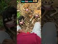 Like Share Follow Rashid Ali Dukhiabbas7 ID Tiktok ЁЯСИЁЯСЛЁЯСЛЁЯСЛЁЯСЛ Hello Guys Like Share Follow Rashid Ali Dukhiabbas7 ID Tiktok ЁЯСИЁЯСЛЁЯСЛЁЯСЛЁЯСЛ Hello Guys