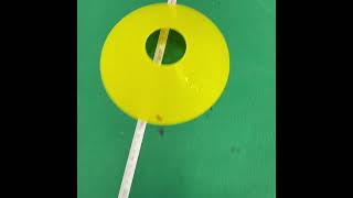 Agility T Test Protocol