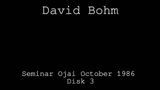 David Bohm - 1986 Seminar Disk 3 - What Is The Meaning of Meaning?