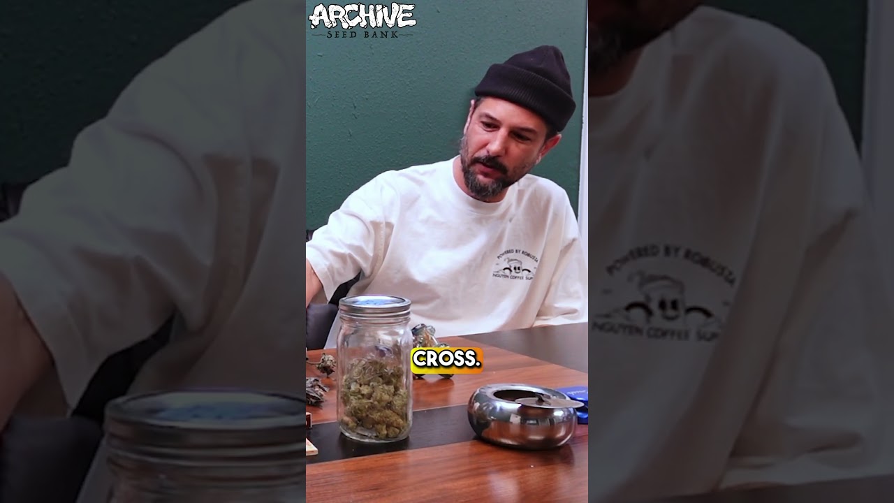 What are the key components to making a particular variety DANK? What does “dank” mean to you?