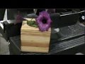 Easy to build mini wooden planter Easy to build mini wooden planter