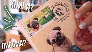 ОДИН ОСЕННИЙ ДЕНЬ СО МНОЙ ⭐ КНИГИ • ПИСЬМА • КОФЕ