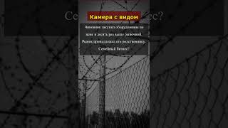 Офшорная компания #тендер #лоббизм #бюджет #олигархи #откат #коррупция #скандал #распил