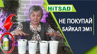 Почему Байкал ЭМ-1 уже не тот ✔️