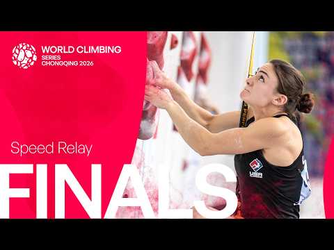 リレー決勝 (男子・女子)