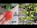 রমজানের ছাদ বাজার। ছাদ বাগানের সবজি ও ফলমূল রোজার জন্য।Ramadan vegetables 