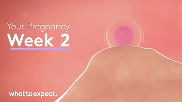 2 Weeks Pregnant - What to Expect