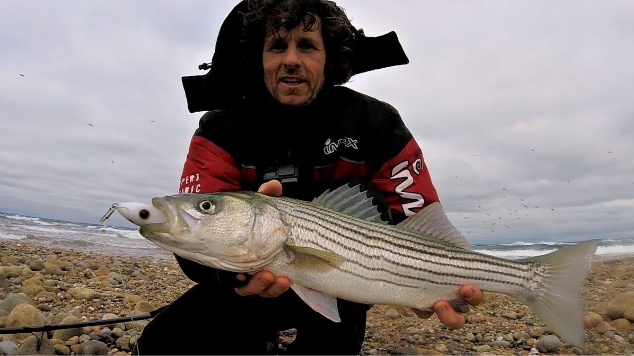 Striped bass lure fishing👉 Catching Striper on long casting lures