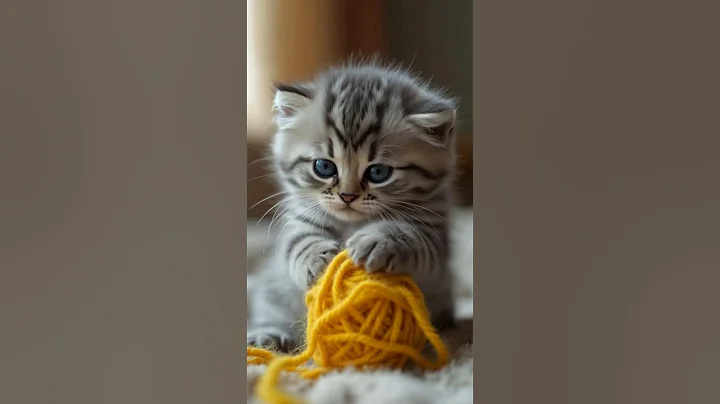 Watch the video about 🎀 Adorable Mini Kittens Playing with a Ball of Yarn 🧶😍 | Tiny Furry Joy!