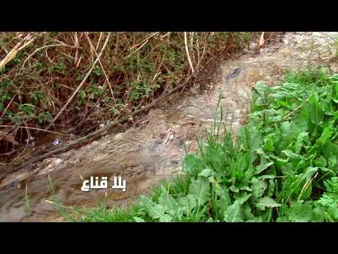   والي باجة ماء لوناص ما يصبش في سد سيدي سالم خاطر نسقيو بيه و البقية تتبخر