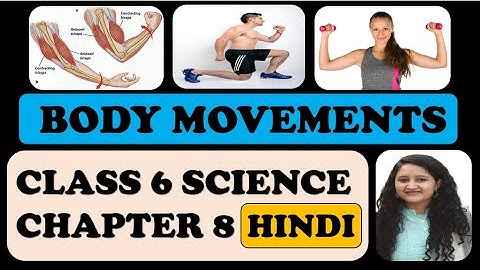 Class 6 Science: Chapter 8: Body Movements in Hindi