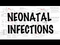 Neonatal Infections - Overview