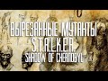 Вырезанные мутанты [S.T.A.L.K.E.R. - Shadow of Chernobyl]