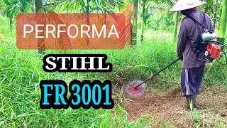 Mesin Rumput STIHL FR 3001 Tebas Rumput Tebal di Kebun Pinang