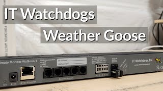 Server Rack Climate Monitor: IT Watchdogs Weather Goose