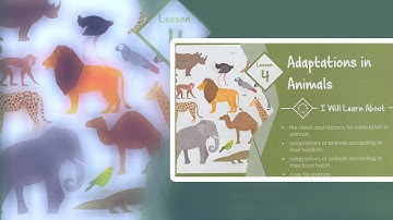 ICSE/SCIENCE/GRADE 4/CHAPTER 4/ADAPTATION IN ANIMALS/PART 2 #SCIENCE #ADAPTATION #ICSE #ANIMALS
