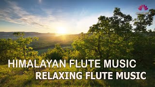 Himalayan Flute Music | Relaxing Music | Solo Flute Music | (बाँसुरी) Aparmita Ep. 139