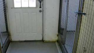 Tour 2 - Inside the Kennel
