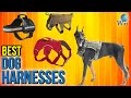 9 Best Dog Harnesses 2017