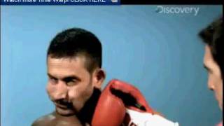 Fun with Youtube! Time warp face punch slide Net Worth