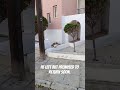 #cat #fpy #cyprus #paphos #street #