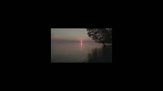 Alf Leila wi Leila - National Arab Orchestra ft. Mai Farouk (slowed + reverb) screenshot 5