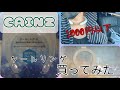 【CAINZ】猛暑に必須ッ？！1000円以下のクールリングはどうなのか？！