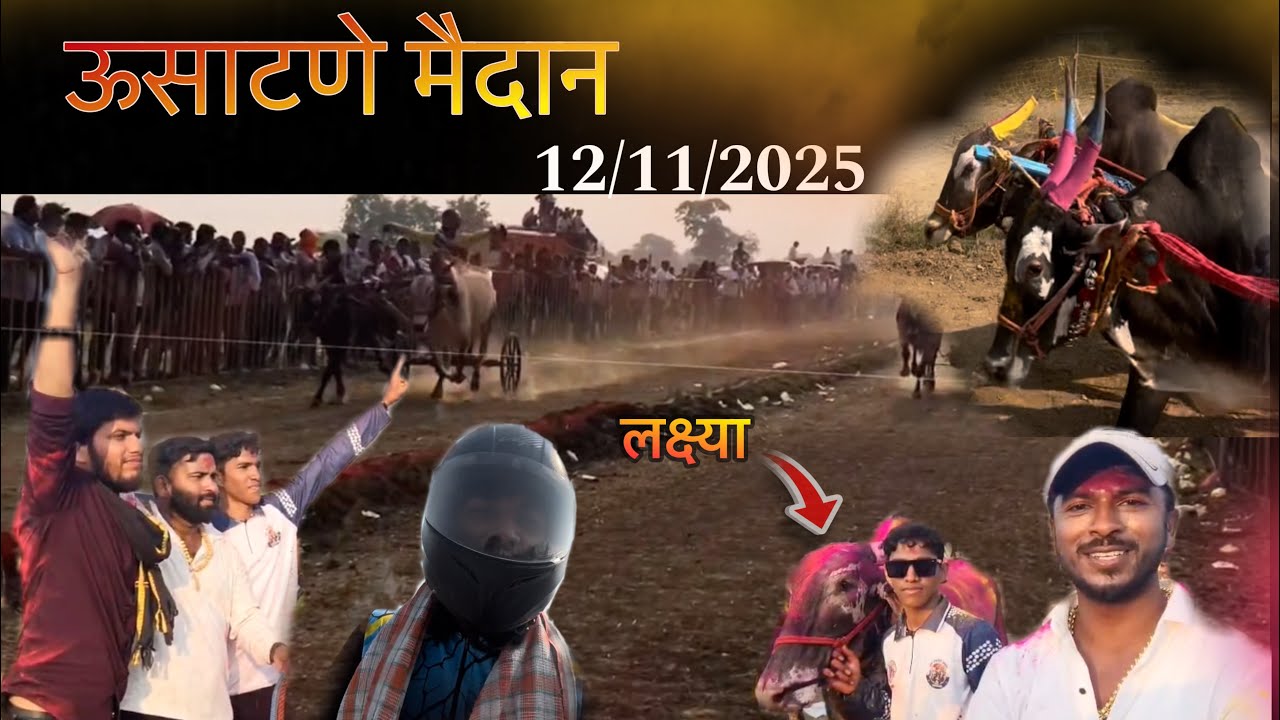 || vlog no 5 || ऊसाटणे मैदान १२/ ११ /२०२५ आणि बिनजोड चा हंगाम ✨#bailgada #vlog #cow #badal #lakshya 