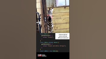 both of them have questions #coding #programming #javascript #python