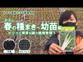 【秋冬どりネギ2月・3月の種まき・育苗】初心者・家庭菜園・直売出荷　 生種とセルトレイで育苗！ 　白ネギ・長ネギ・一本ネギをビシッと発芽を揃えて育苗する栽培管理と作業時間　説明に目次　トキタ種苗