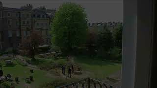 50-Second Timelapse of our 180-Year-Old Oak Tree Being Taken Down