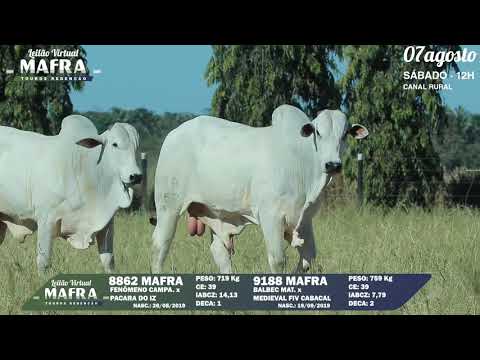 LOTE 130   MFRA 8862, 9188