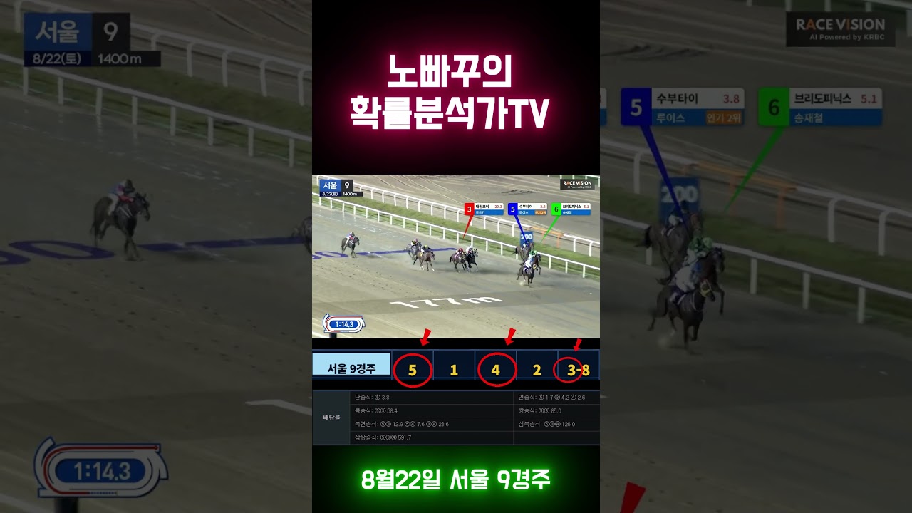 0822 토 서울9 경주 황금마번 적중 상황!!! 🔥#경마 #서울경마예상 #부산경마예상 #제주경마예상 #경마적중 #shorts #고배당 #확률분석가TV #경마데이터 #노빠꾸경마