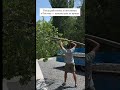 #ландшафтныйпроектростов #садовые цветы ростов #дачаростов #домростов #коттеджростов #верандаростов