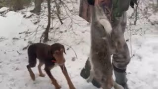 Kopoyla Tavşan Avi 2024 Özgür Sarikaya Ferit Yalçin Selim Yanik Hüseyin Bayraktar