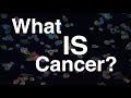 What is Cancer? | The Cancer Series