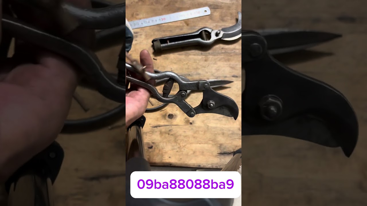 Tools vintage art for bonsai #bonsai #bonsaitools #bonsaiart #tools art